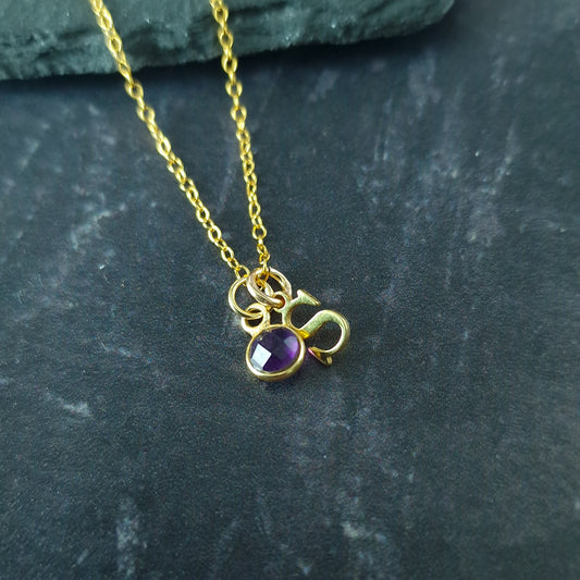 Gold vermeil silver letter necklace with Amethyst birthstone